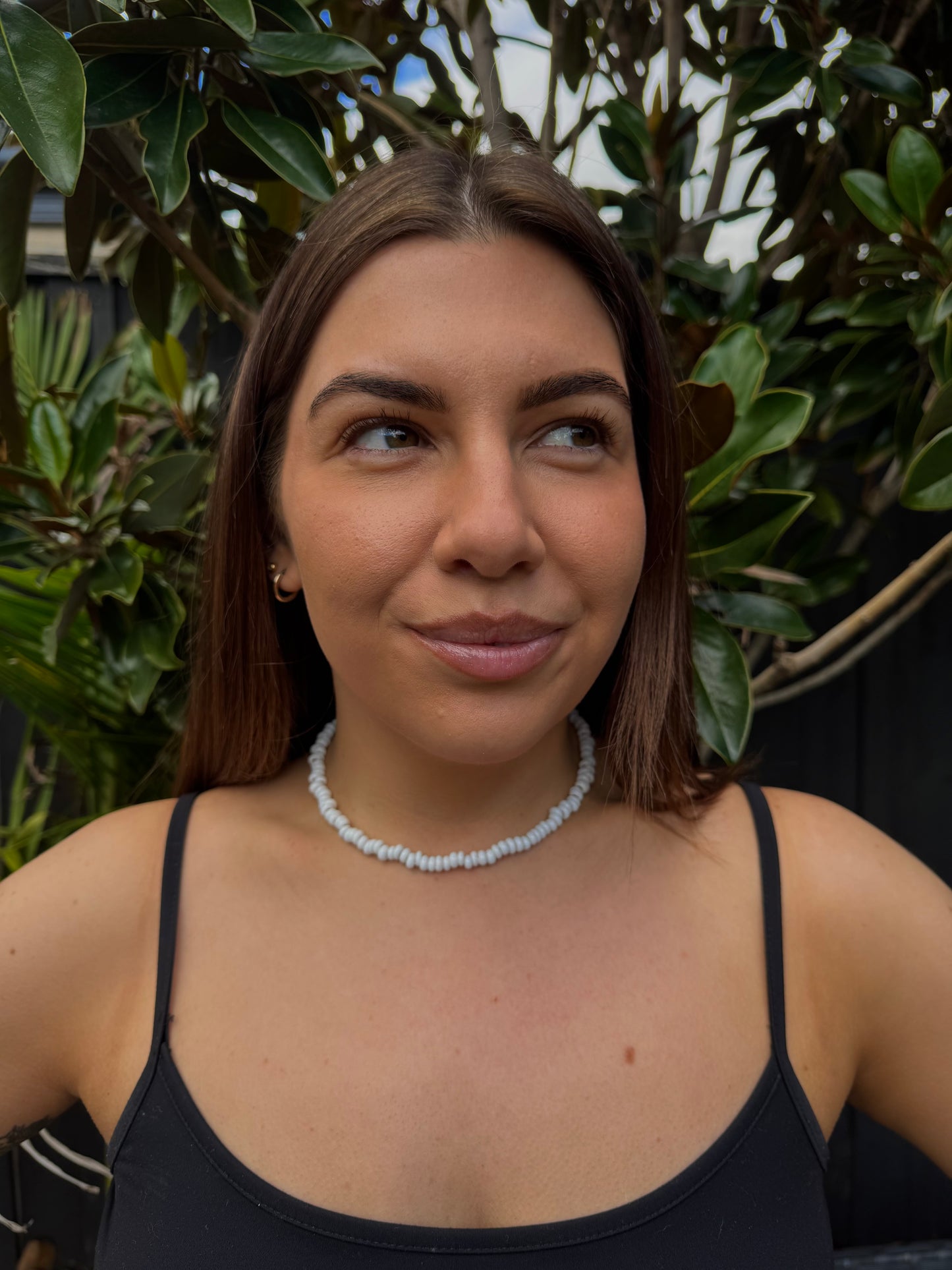 Ayla