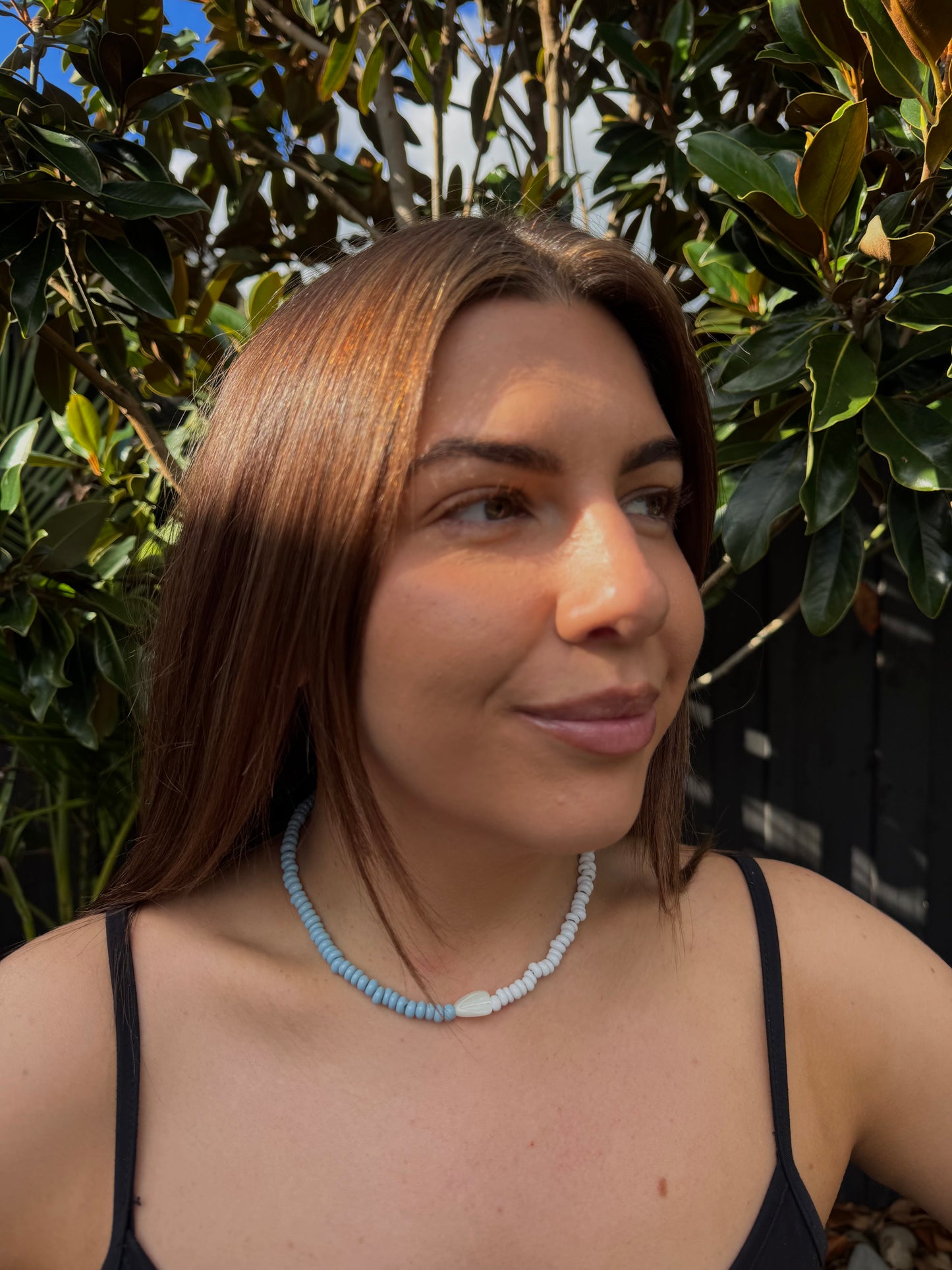 Solé